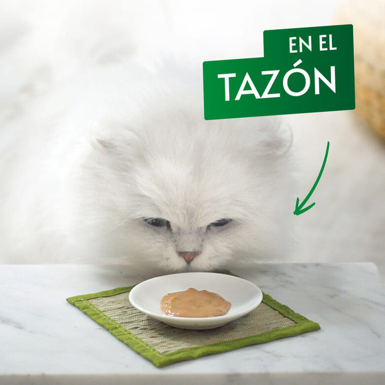 Gourmet Nature’s Creations Snack Húmedo de Salmón para gatos, , large image number null